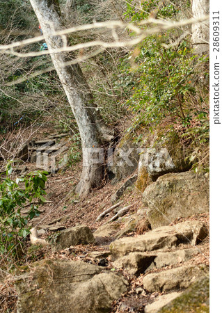 Mountain climbing from Tsukuba-san Azagigaoka 28609311