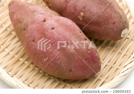 sweet potato sweet potato 28609383