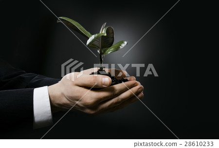 sprout sprout 28610233