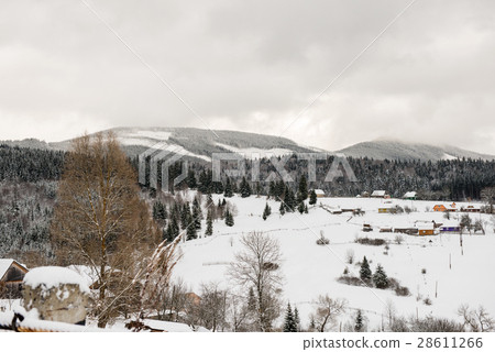 winter landscape of Carpathians 28611266
