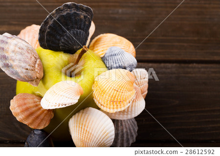 Colorful shells put in green apple Colorful shells put in green apple 28612592