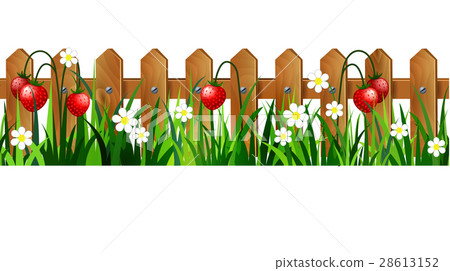 Green Grass seamless 28613152