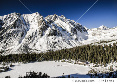 Frozen lake - landscape 28613763