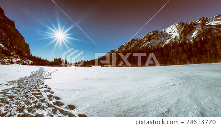 Winter forest and hills 28613770