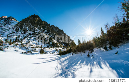 Winter mountains and shining sun 28613771