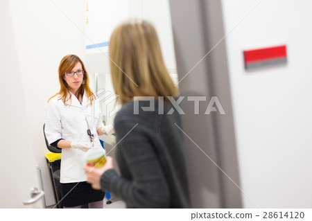 Young researcher and her supevisor discussing 28614120