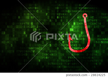 Privacy concept: Fishing Hook on digital 28614225
