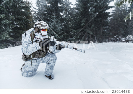 Winter arctic warfare 28614488