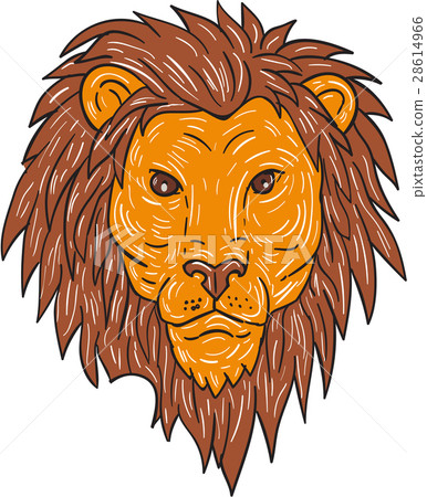 Male Lion Big Cat Head Drawing 28614966