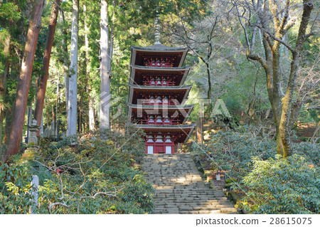 [Five-storied pagoda of Muroji Temple] 78 Murosei, Uda-shi, Nara 28615075