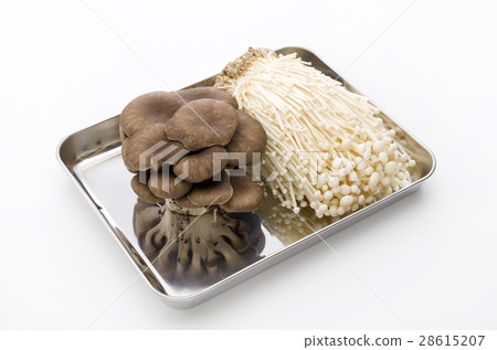 Enoki and Hirate 28615207