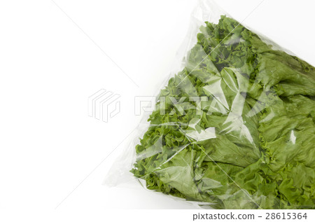 Greenleaf Greenleaf 28615364