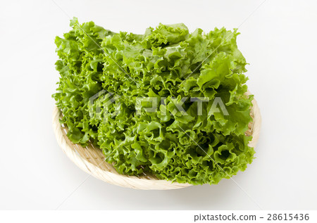 Greenleaf Greenleaf 28615436