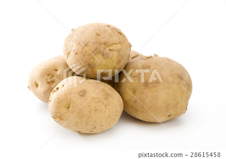 potato  28615458