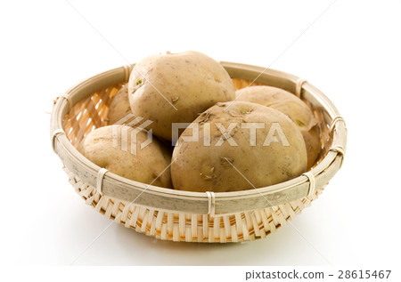 potato potato 28615467