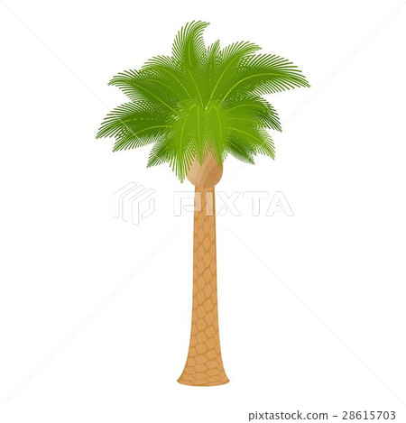 Hardwood palm icon, cartoon style Hardwood palm icon, cartoon style 28615703