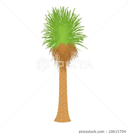 Coconut palm icon, cartoon style Coconut palm icon, cartoon style 28615704