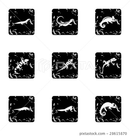 Chameleon icons set, grunge style Chameleon icons set, grunge style 28615870