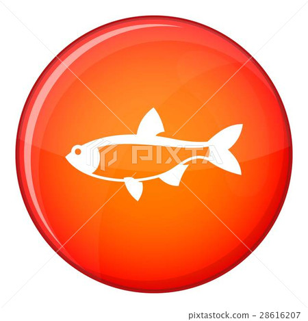 Rudd fish icon, flat style Rudd fish icon, flat style 28616207