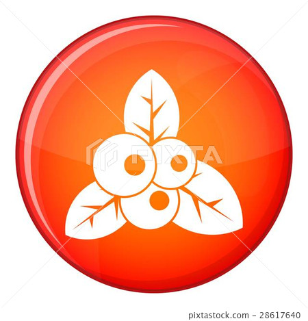 Cranberry icon, flat style 28617640