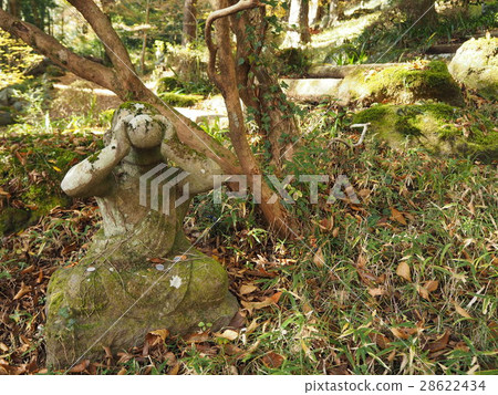 箱根的Jizo先生 28622434