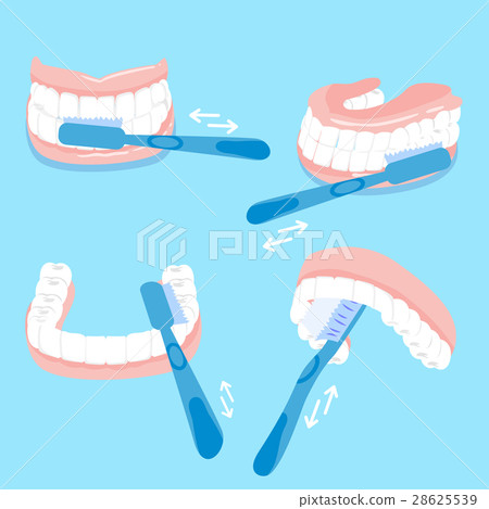 how to brush tooth 28625539