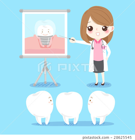dentist with tooth dentist with tooth 28625545