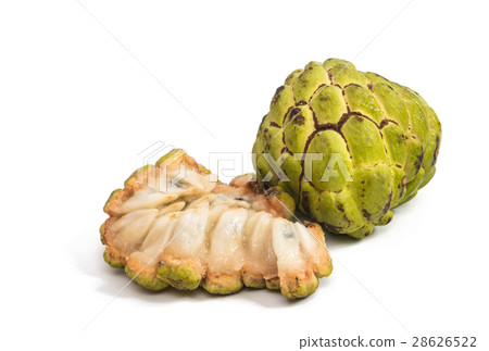 Fresh Custard Apple isolated 28626522