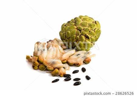 Fresh Custard Apple isolated 28626526