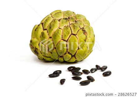 Fresh Custard Apple isolated 28626527