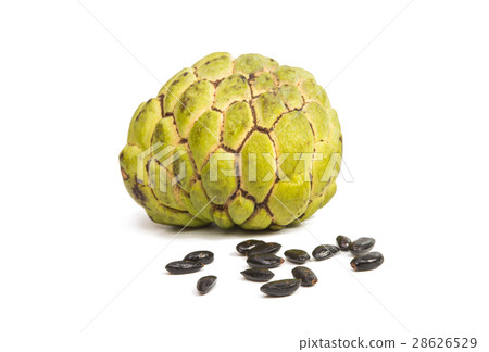 Fresh Custard Apple isolated 28626529