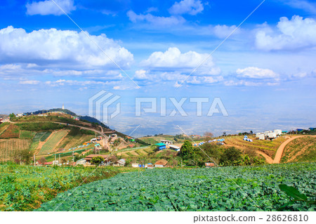 Phu tubberk most famous travel place in thailand. Phu tubberk most famous travel place in thailand. 28626810