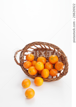 Spilled kampo Spilled kampo 28626922