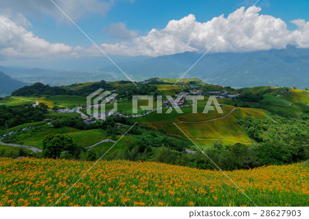 六十石山金針花季 六十石山金針花季 28627903