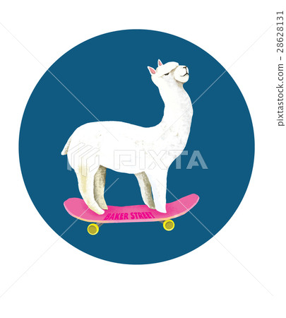 Skate board Skate board 28628131