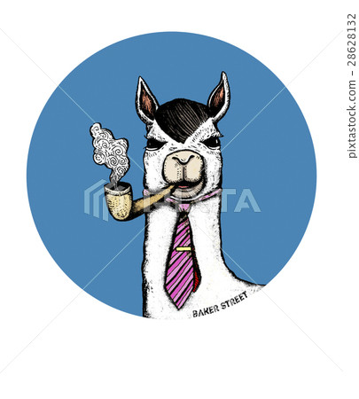 alpaca, cute, lovely 28628132