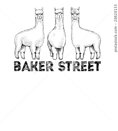 Skate board 28628133