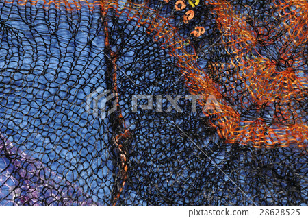 Patterns of the Orenburg downy shawl 28628525