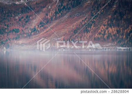 湖邊 湖邊 28628804