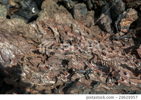 Background of frozen lava field at Tolbachik 28628957