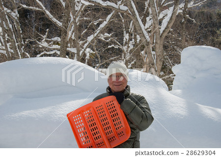 雪大雪區的高級 雪大雪區的高級 28629304