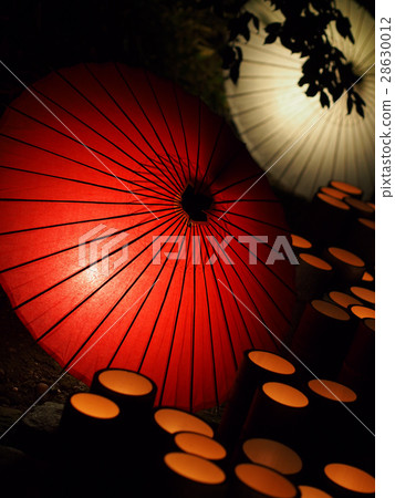 Momoka Hyaku 28630012