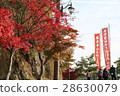 Horai Genji mountain maple festival 28630079