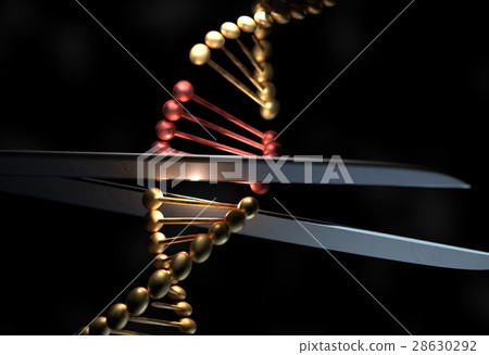 DNA cut the part with a scissor 3d illustration 28630292
