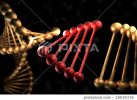 The DNA molecule with defective gene 3d 28630336