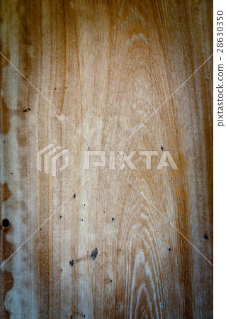 Pattern tree 28630350