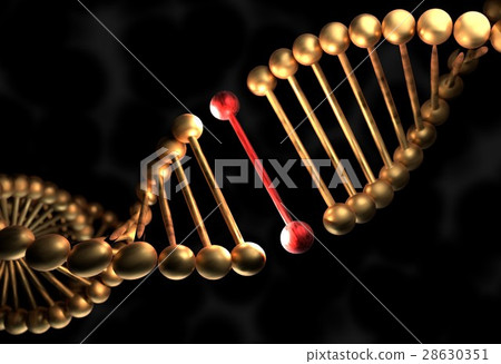 The DNA molecule with defective gene 3d The DNA molecule with defective gene 3d 28630351