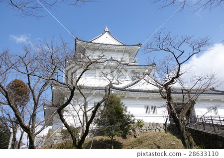 小田原城 图库照片