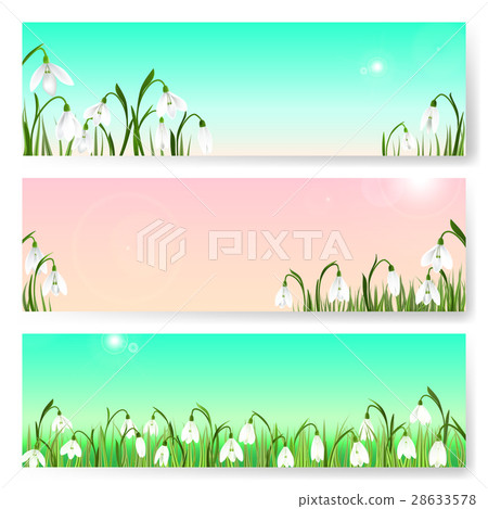 Spring background with snowdrop flowers, green 28633578