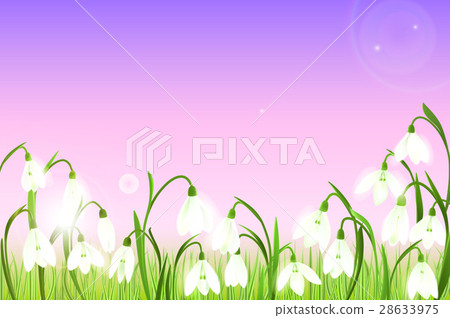 Spring background with snowdrop flowers, green 28633975